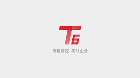 畅捷通T6