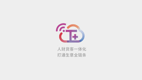 畅捷通T+